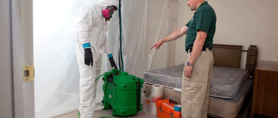 Palm Springs, CA mold removal process